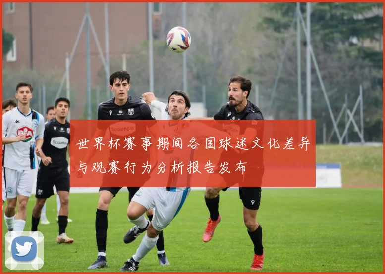 世界杯赛事期间各国球迷文化差异与观赛行为分析报告发布