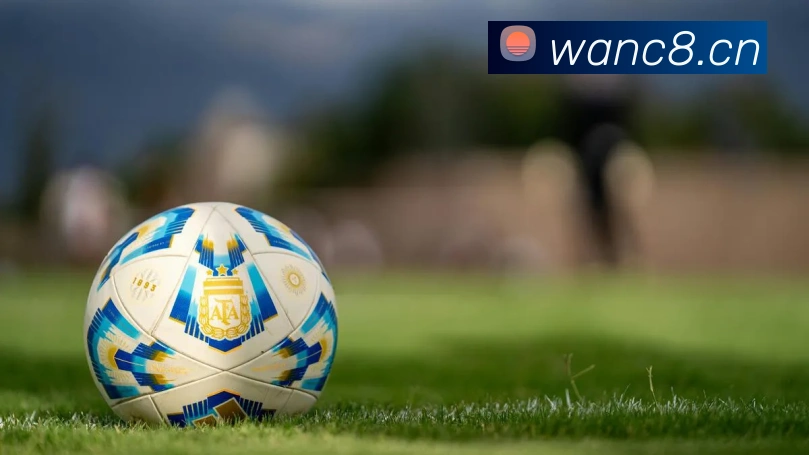 乐球直播免费观看高清版平台生态图